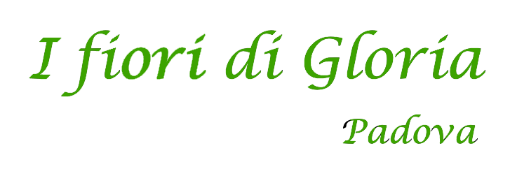 I fiori di Gloria di Franco Paolo
